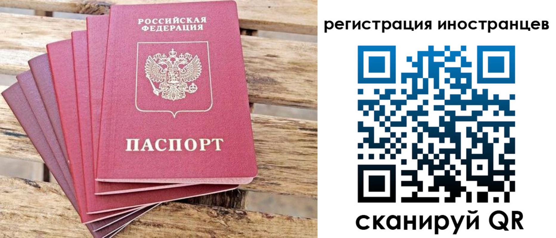 временная прописка в Стародубе